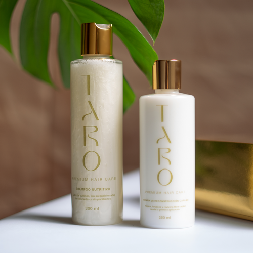 Kit Reparador · Shampoo + Terapia para cabello dañado